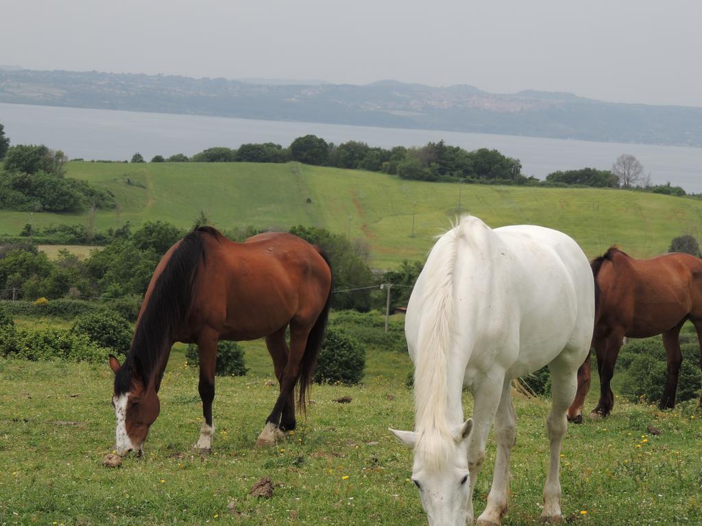 Willa Country Relais I Due Laghi Anguillara Sabazia Zewnętrze zdjęcie